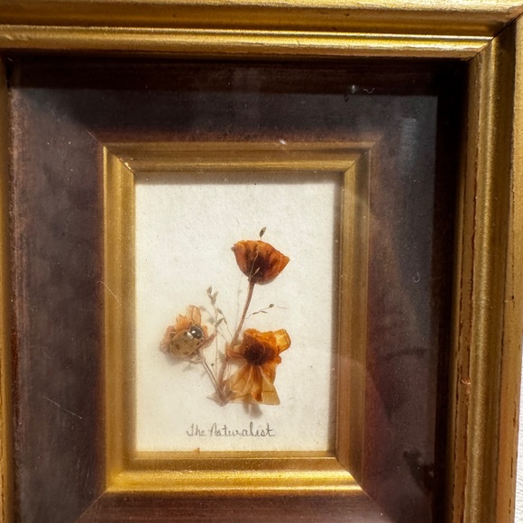 Vintage Framed Dried Flower Shadowbox EUC - Picture 3 of 10